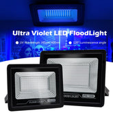 50W 100W LED UV Floodlight  AC220V Halloween Party Ambient Light-TI00888-Veeddydropshipping